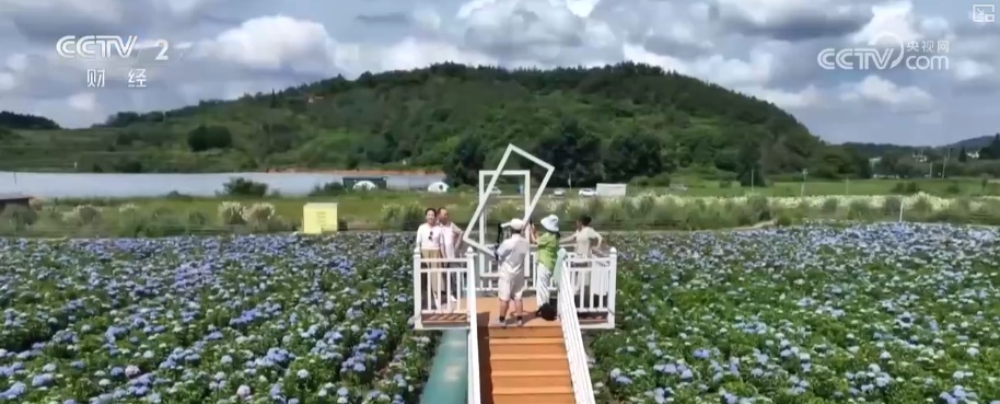 建设强大国内市场怎么干？“强大”二字有何深意？解读↓