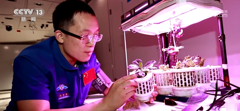 “70后”“80后”“90后”，出征！神舟二十一号乘组“跨界”也精彩