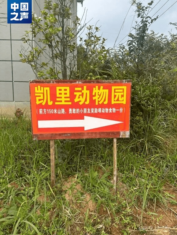 20元门票十年未变，这家山里的动物园为何突然火了？