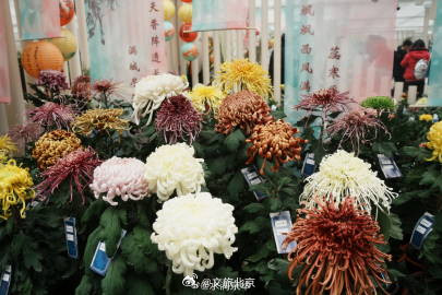 秋水映花容，600余种花卉绽放京城水岸！