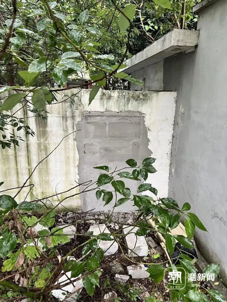 杭州一废弃学校成打卡点，曾有博主被困！紧急提醒