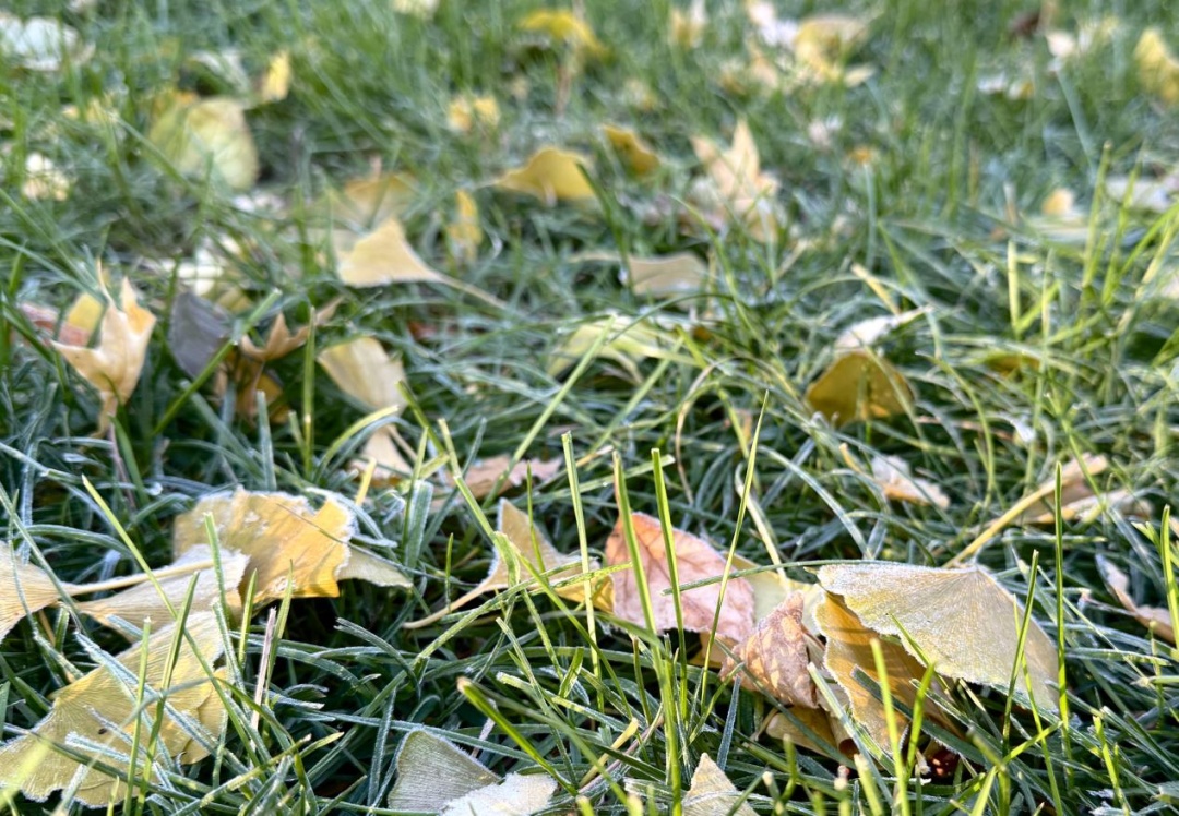 明天降雪、后天大幅降温！11月来了，辽宁气温还会回升不？