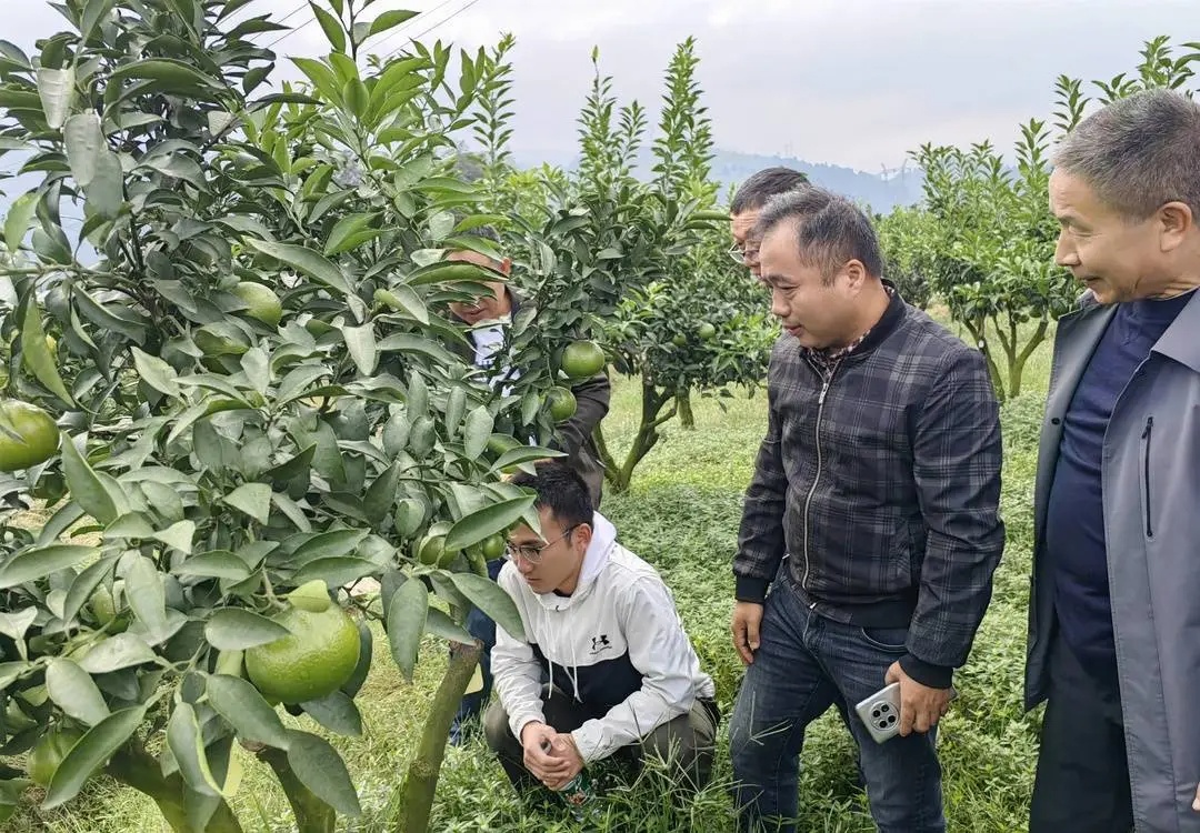 全部售罄！“买不到，根本买不到”，不少人在线求：让我吃一口