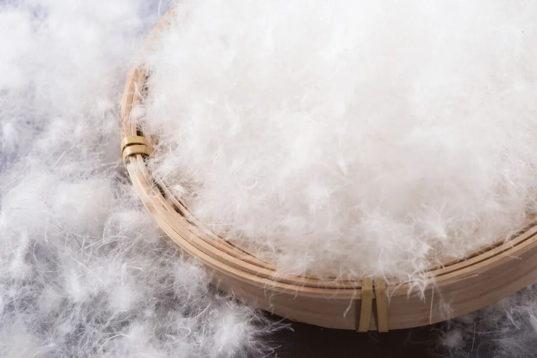 注意!低于这个价格,可能不是真羽绒服 注意!低于这个价格,可能不是真羽绒服