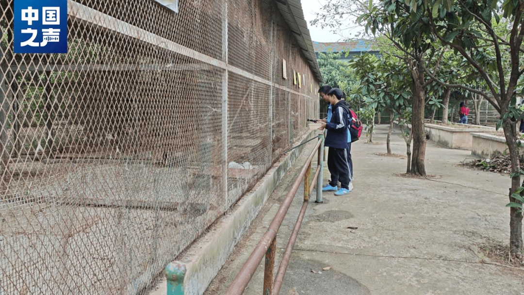 20元门票十年未变，这家山里的动物园为何突然火了？