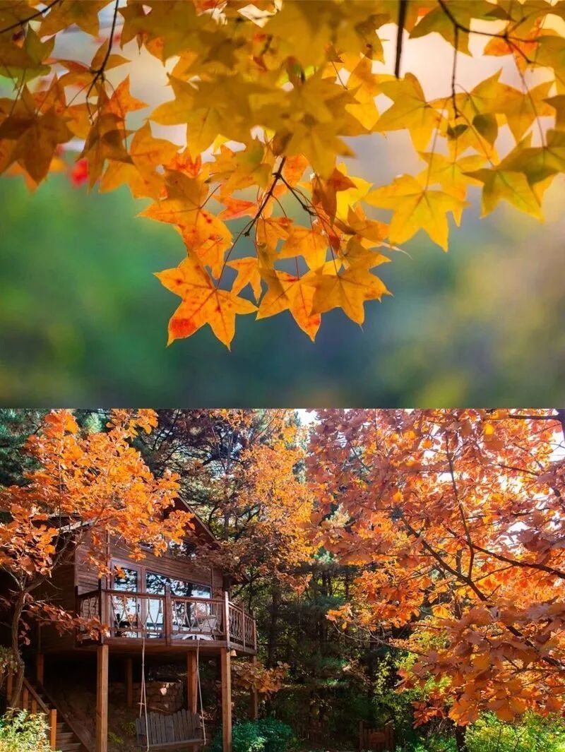 快来打卡！北京密云的绝美秋景藏不住了