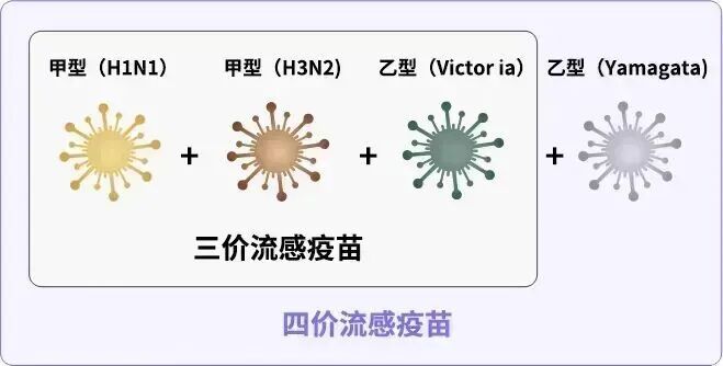 毒株与去年不同,江苏疾控重要提醒! 毒株与去年不同,江苏疾控重要提醒!
