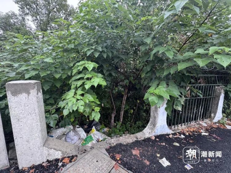 杭州一废弃学校成打卡点，曾有博主被困！紧急提醒