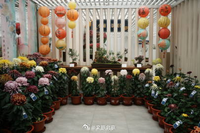 秋水映花容，600余种花卉绽放京城水岸！