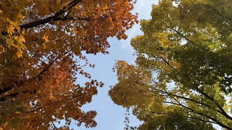 快来打卡！北京密云的绝美秋景藏不住了