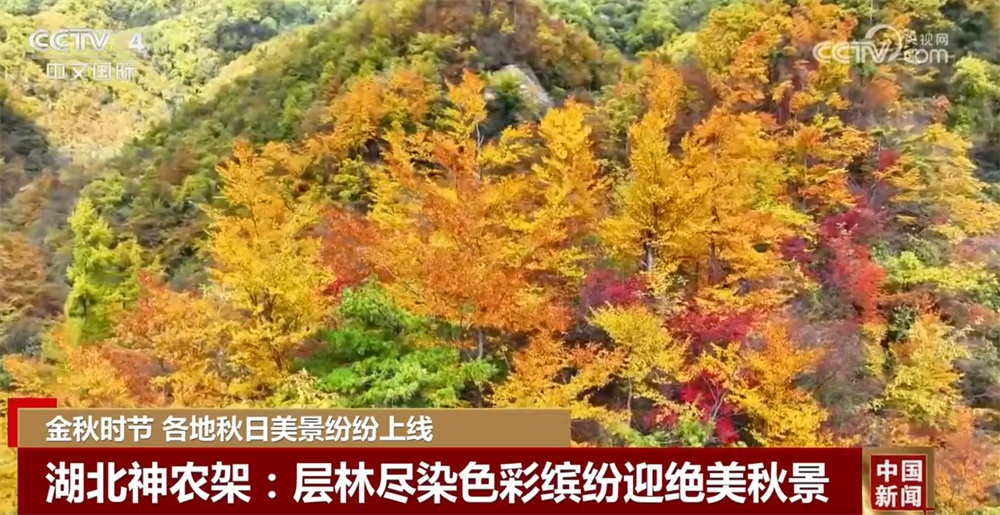 金秋时节各地美景纷纷“上线” 多元业态拓展“秋日经济”新空间