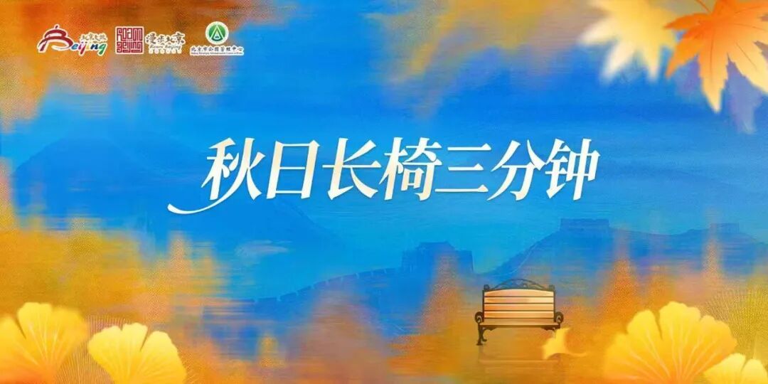 北京的秋日浓度正在拉满!这次把浪漫铺到了眼前 北京的秋日浓度正在拉满!这次把浪漫铺到了眼前