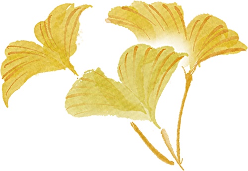 北京的秋日浓度正在拉满!这次把浪漫铺到了眼前 北京的秋日浓度正在拉满!这次把浪漫铺到了眼前