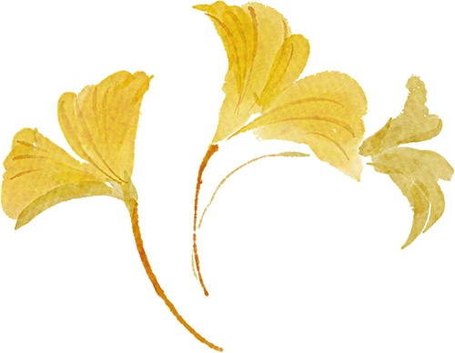 北京的秋日浓度正在拉满!这次把浪漫铺到了眼前 北京的秋日浓度正在拉满!这次把浪漫铺到了眼前