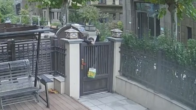 “告诉快递小哥扔院里就行，这是全过程……”天津网友分享暖心又好笑一幕，快递员回应