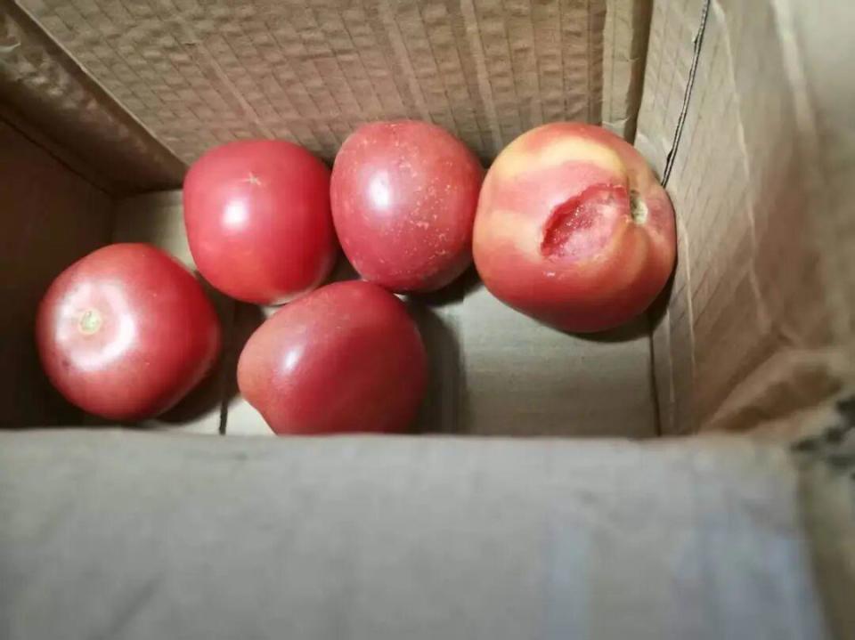 灭鼠公司上门却收效甚微？老人被鼠患困扰3年：家里好吃的它先尝