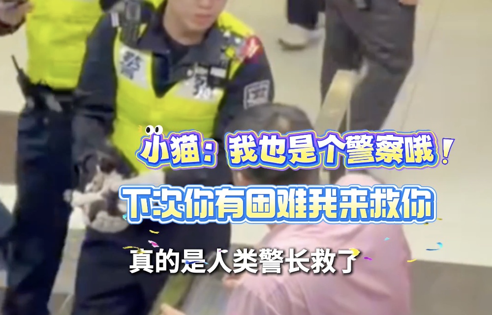 上海地铁“黑猫警长”双腿被夹，市民接力救助，网友：“人好，猫好，上海好！”