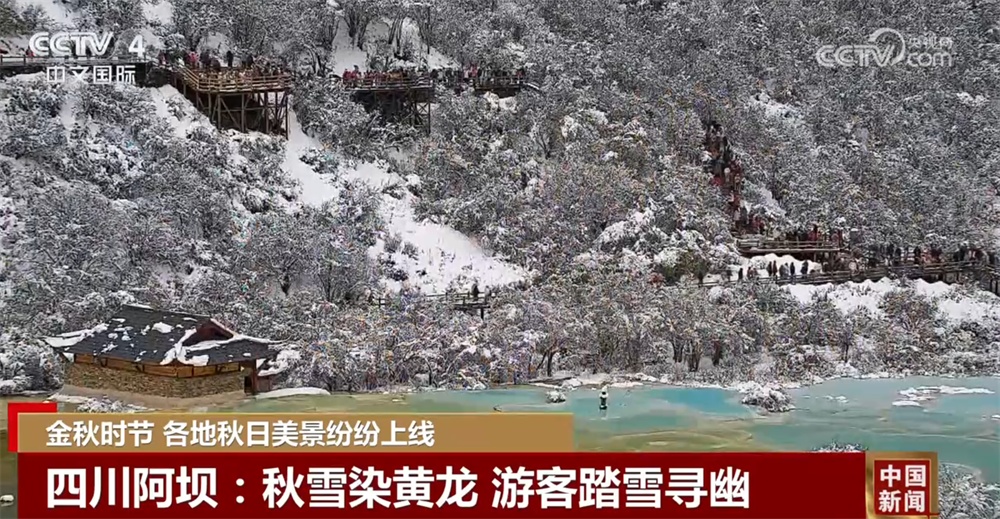 金秋时节各地美景纷纷“上线” 多元业态拓展“秋日经济”新空间