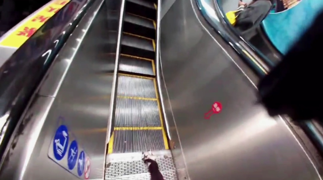 上海地铁“黑猫警长”双腿被夹，市民接力救助，网友：“人好，猫好，上海好！”