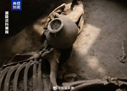 考古学家确认汉文帝霸陵出现中亚马 考古学家确认汉文帝霸陵出现中亚马