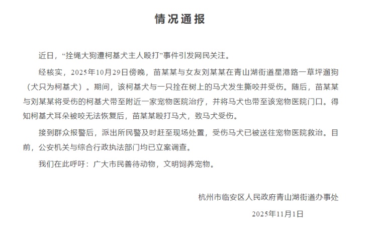 杭州通报“拴绳大狗遭柯基犬主人殴打”事件:已立案调查 杭州通报“拴绳大狗遭柯基犬主人殴打”事件:已立案调查