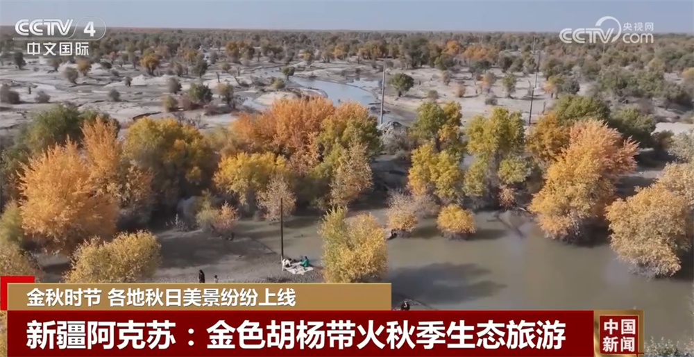 金秋时节各地美景纷纷“上线” 多元业态拓展“秋日经济”新空间