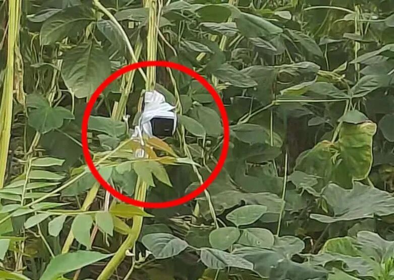 骗子还搞“远程监控”新手法?上海阿姨深陷“高回报理财剧本杀”! 骗子还搞“远程监控”新手法?上海阿姨深陷“高回报理财剧本杀”!