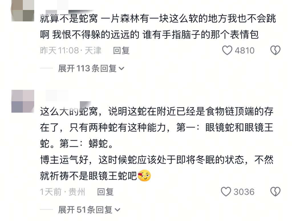 女子山中玩“野生蹦床”,事后得知是蛇窝?专业人士回应 女子山中玩“野生蹦床”,事后得知是蛇窝?专业人士回应