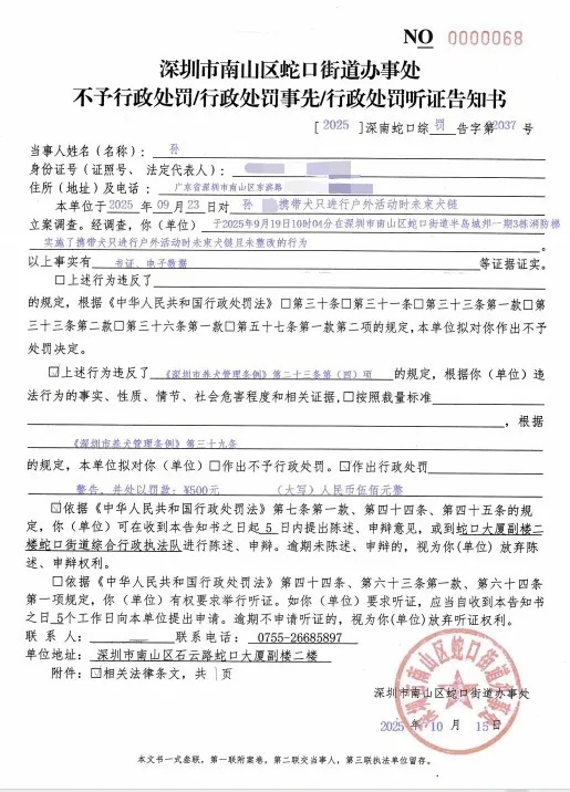 遛狗不栓绳，深圳一居民在家楼下被罚500元