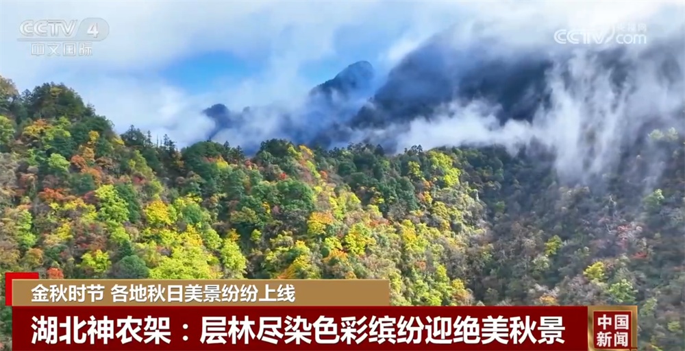 金秋时节各地美景纷纷“上线” 多元业态拓展“秋日经济”新空间