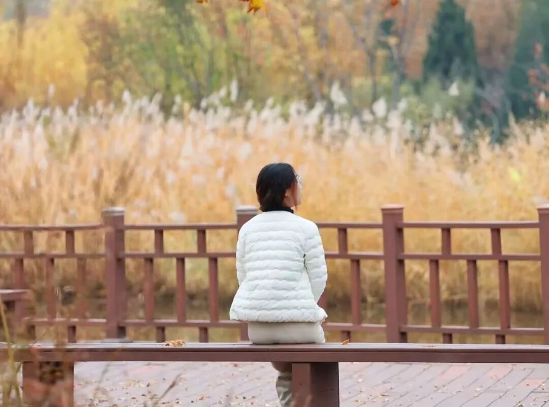 为什么秋天要多去公园走走？三个治愈身心的神奇功效，很多人不知道