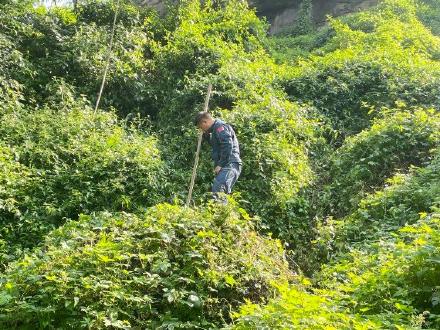 81岁老人坠崖 他们带着无人机、搜救犬找到了 81岁老人坠崖 他们带着无人机、搜救犬找到了