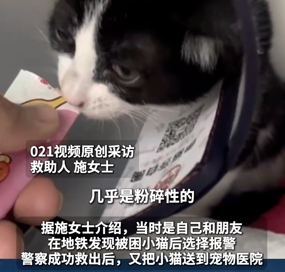 上海地铁“黑猫警长”双腿被夹，市民接力救助，网友：“人好，猫好，上海好！”