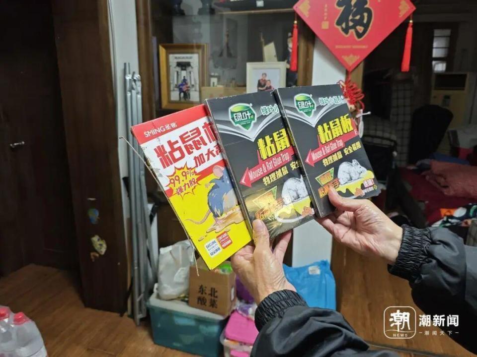 灭鼠公司上门却收效甚微？老人被鼠患困扰3年：家里好吃的它先尝