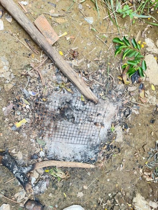 柬埔寨一男子吃烤蜥蜴、蜥蜴卵,中毒身亡 柬埔寨一男子吃烤蜥蜴、蜥蜴卵,中毒身亡