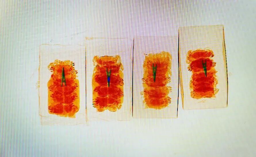 高铁站安检仪扫出好多毛茸茸的物体……