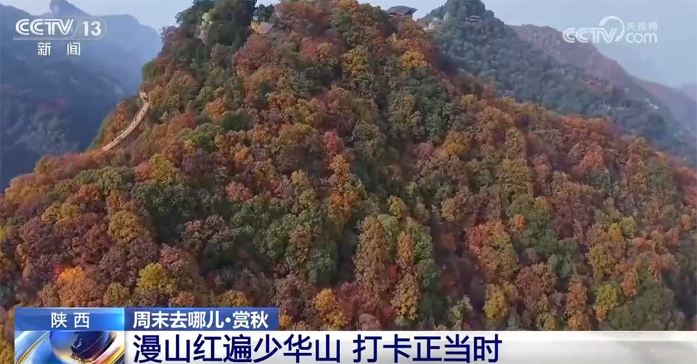 “秋日经济”升温聚人气 “农文旅融合”新玩法展现乡村振兴蓬勃活力