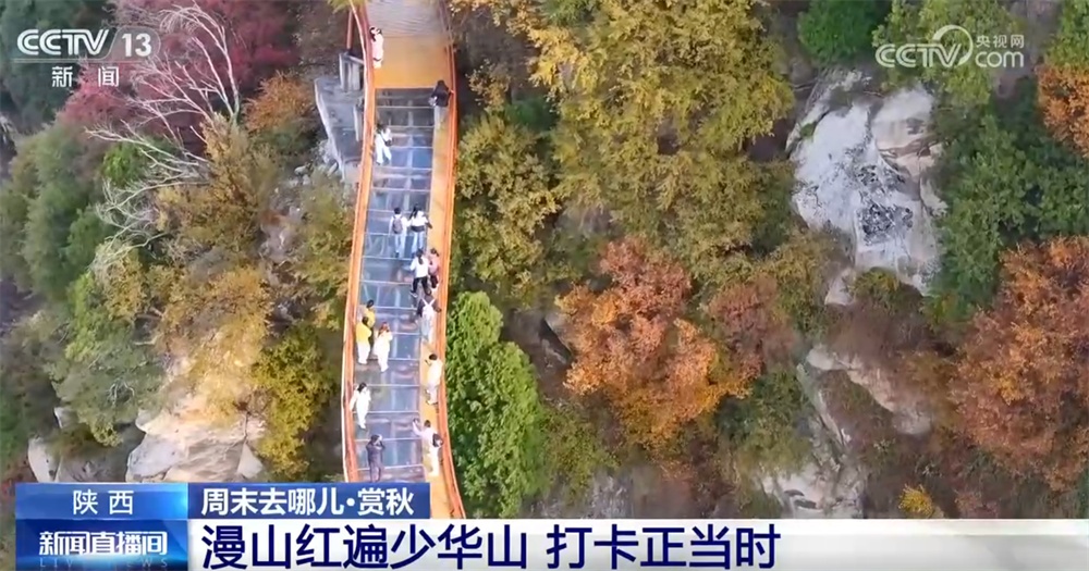 “秋日经济”升温聚人气 “农文旅融合”新玩法展现乡村振兴蓬勃活力