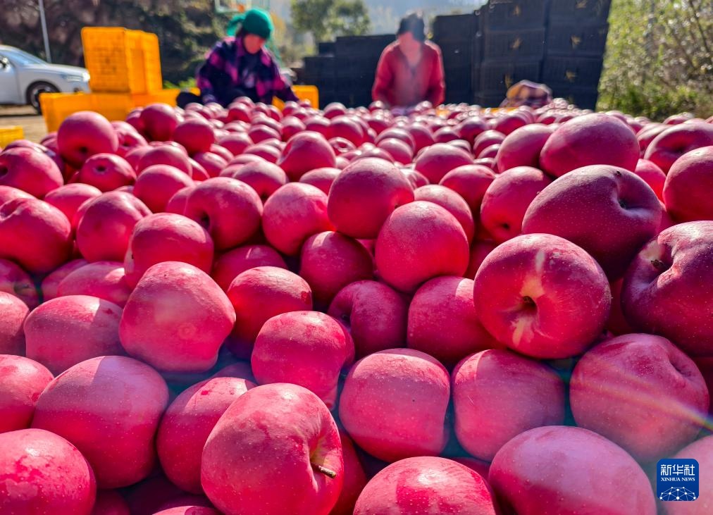 秋日“丰”景好
