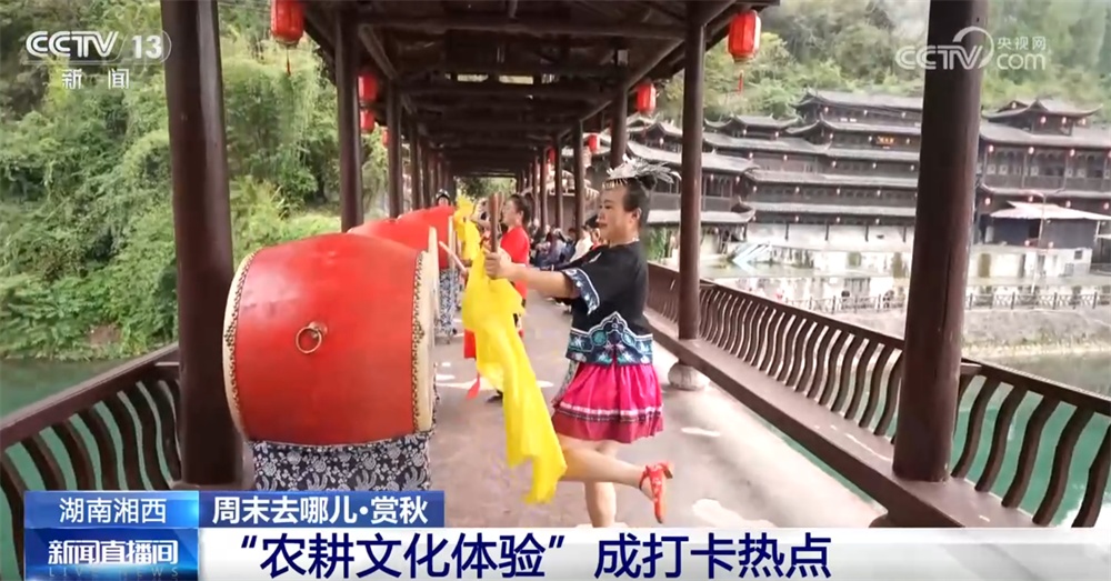 “秋日经济”升温聚人气 “农文旅融合”新玩法展现乡村振兴蓬勃活力