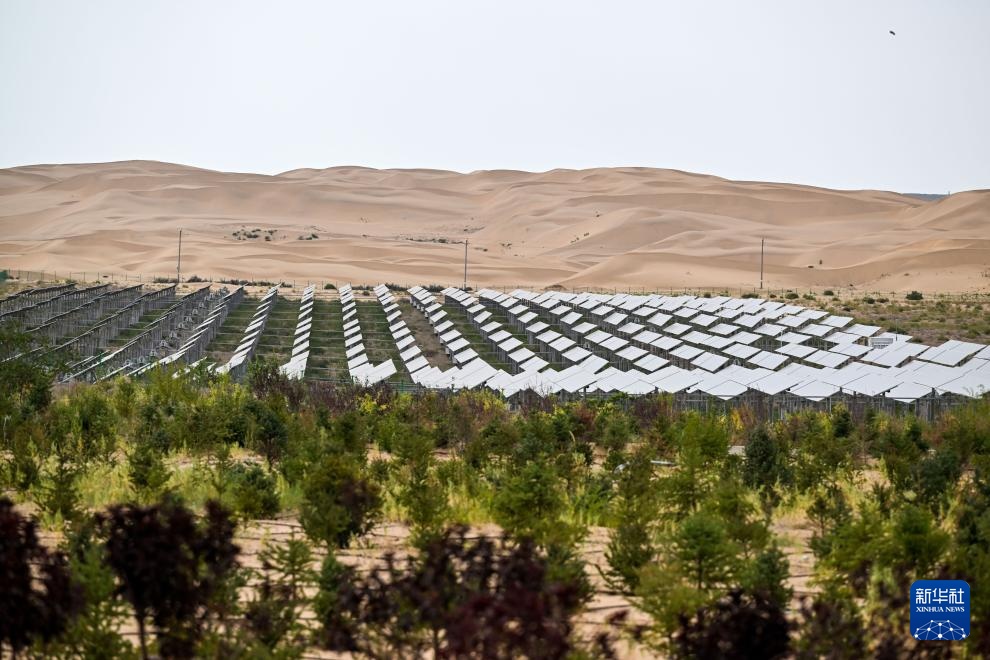 内蒙古很近 | 您手机充的电，可能是来自内蒙古的风！