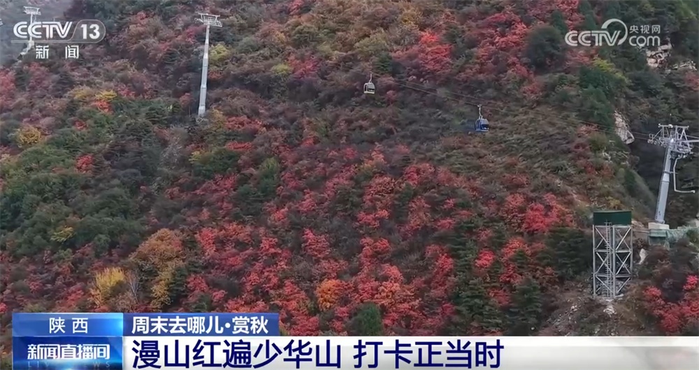 “秋日经济”升温聚人气 “农文旅融合”新玩法展现乡村振兴蓬勃活力