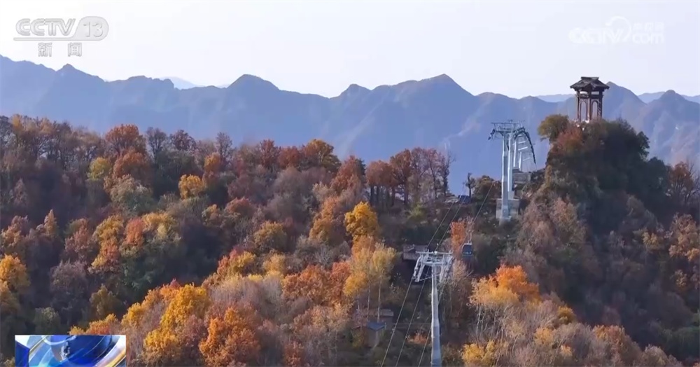 “秋日经济”升温聚人气 “农文旅融合”新玩法展现乡村振兴蓬勃活力