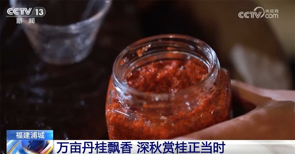 特色“赏秋游”澎湃“秋日经济”新动能 “文旅+”成为激发消费新引擎 特色“赏秋游”澎湃“秋日经济”新动能 “文旅+”成为激发消费新引擎