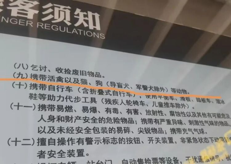 活的大闸蟹不能“坐”上海地铁？一天十几人被拦下，“建议另寻出行方式”