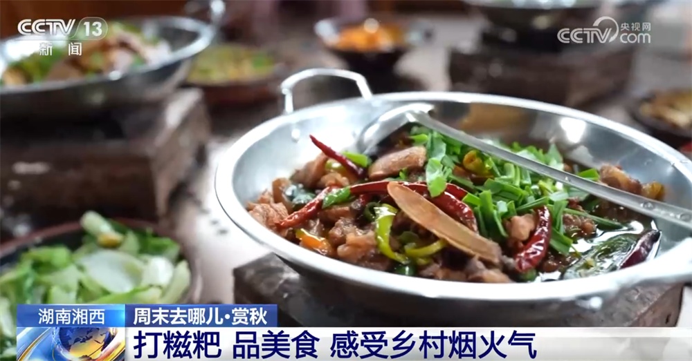 “秋日经济”升温聚人气 “农文旅融合”新玩法展现乡村振兴蓬勃活力