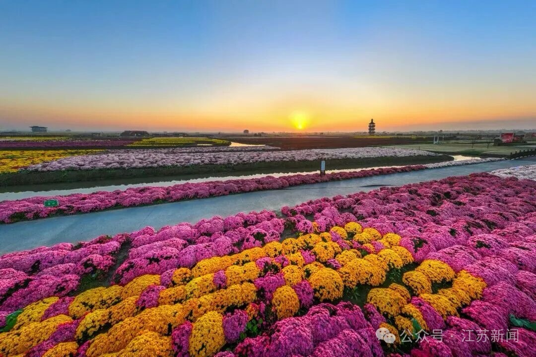 “苏超”夺冠后,泰州官宣:这些景区,免费! “苏超”夺冠后,泰州官宣:这些景区,免费!