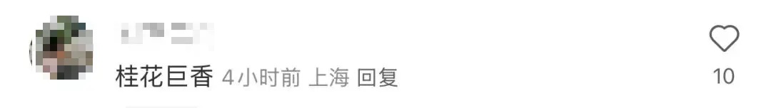 迟到的桂花格外香？三大品种罕见集中绽放！樱花也来凑热闹，上海市民直呼惊奇