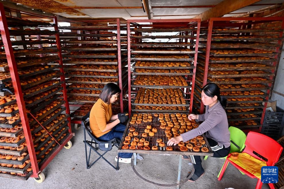 福建永泰:金秋送爽晒好“柿” 福建永泰:金秋送爽晒好“柿”