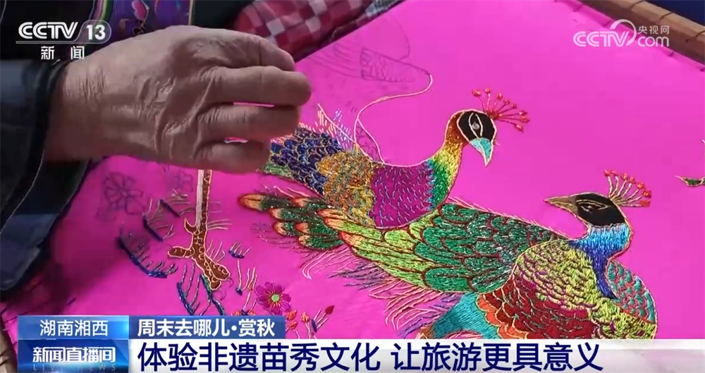 “秋日经济”升温聚人气 “农文旅融合”新玩法展现乡村振兴蓬勃活力